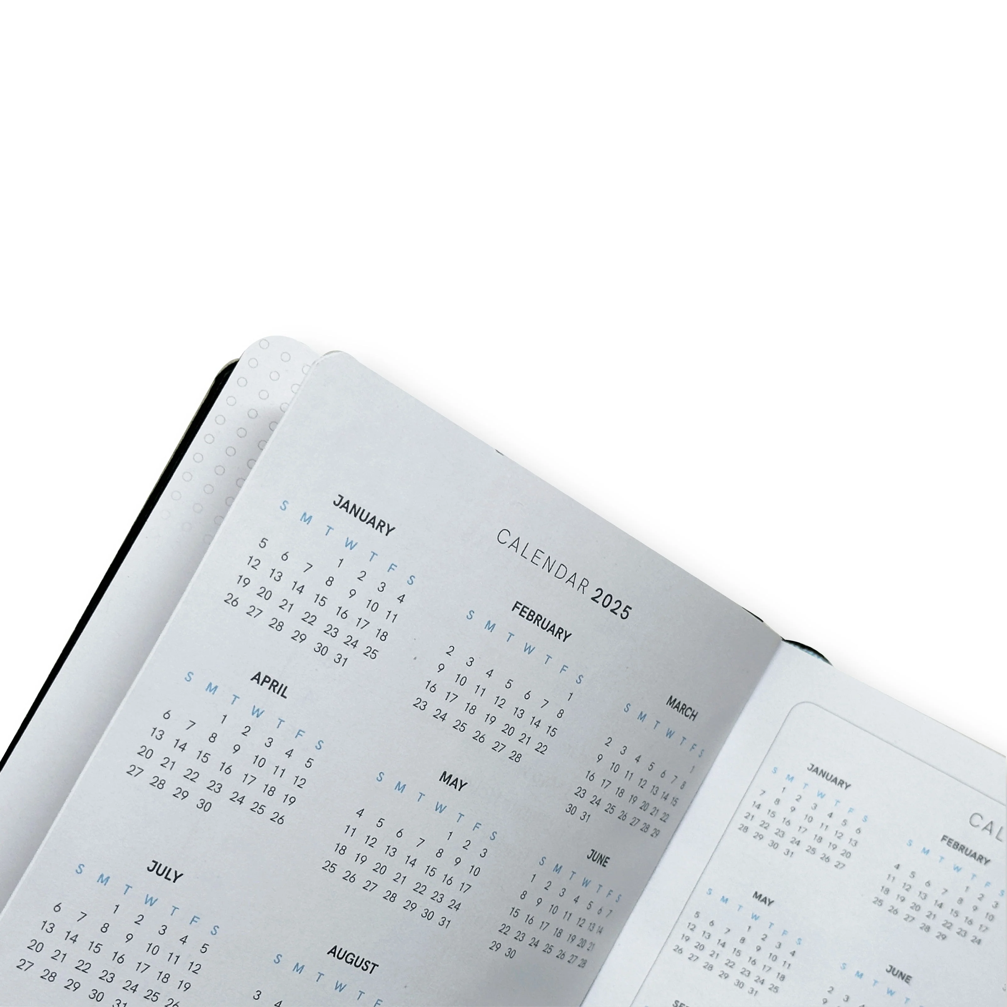 Regalia Daily Planner 2025 - 50% Off - Image 4